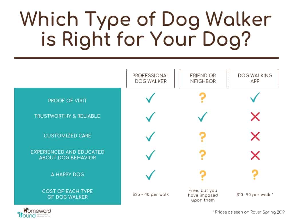 Professional Dog Walkers Week