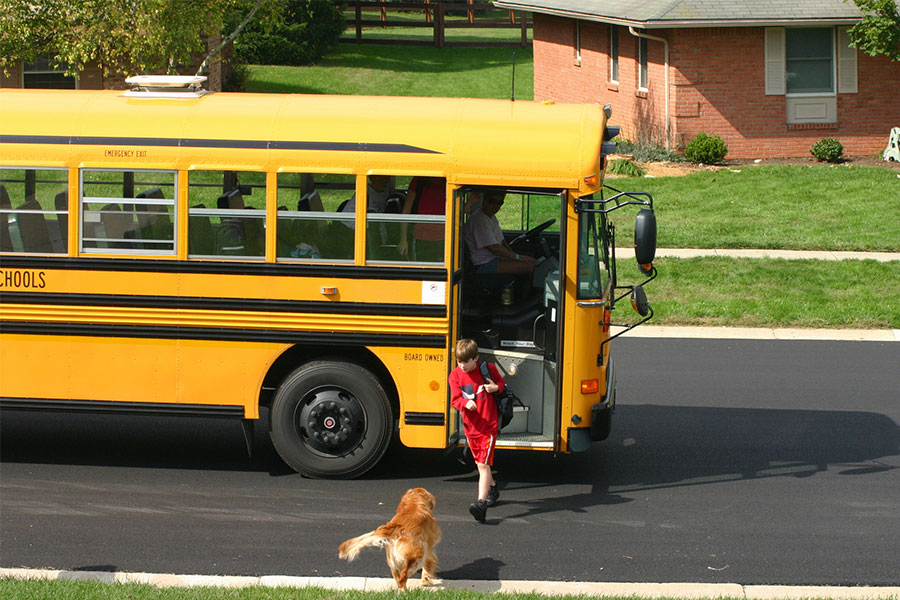 Getting Your Dog Ready for Back to School