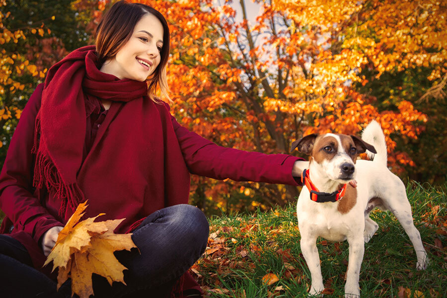 Here are the top three reasons why you need a dog walker this Thanksgiving: 