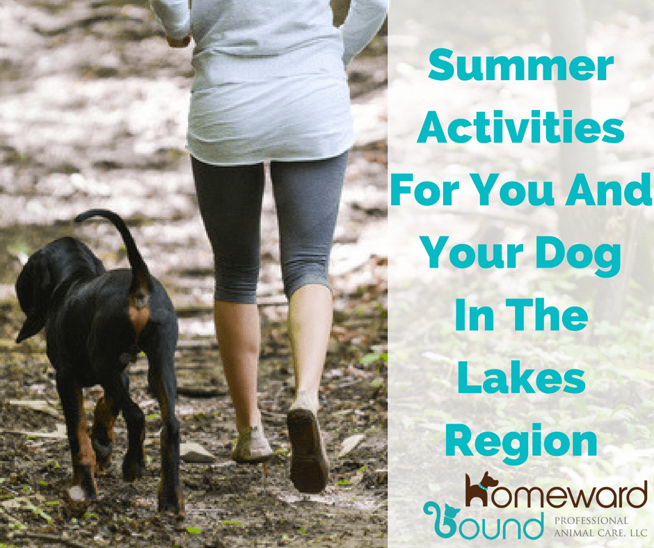Pet Friendly Lakes Region, NH - Summer Activities for you & Your Dog