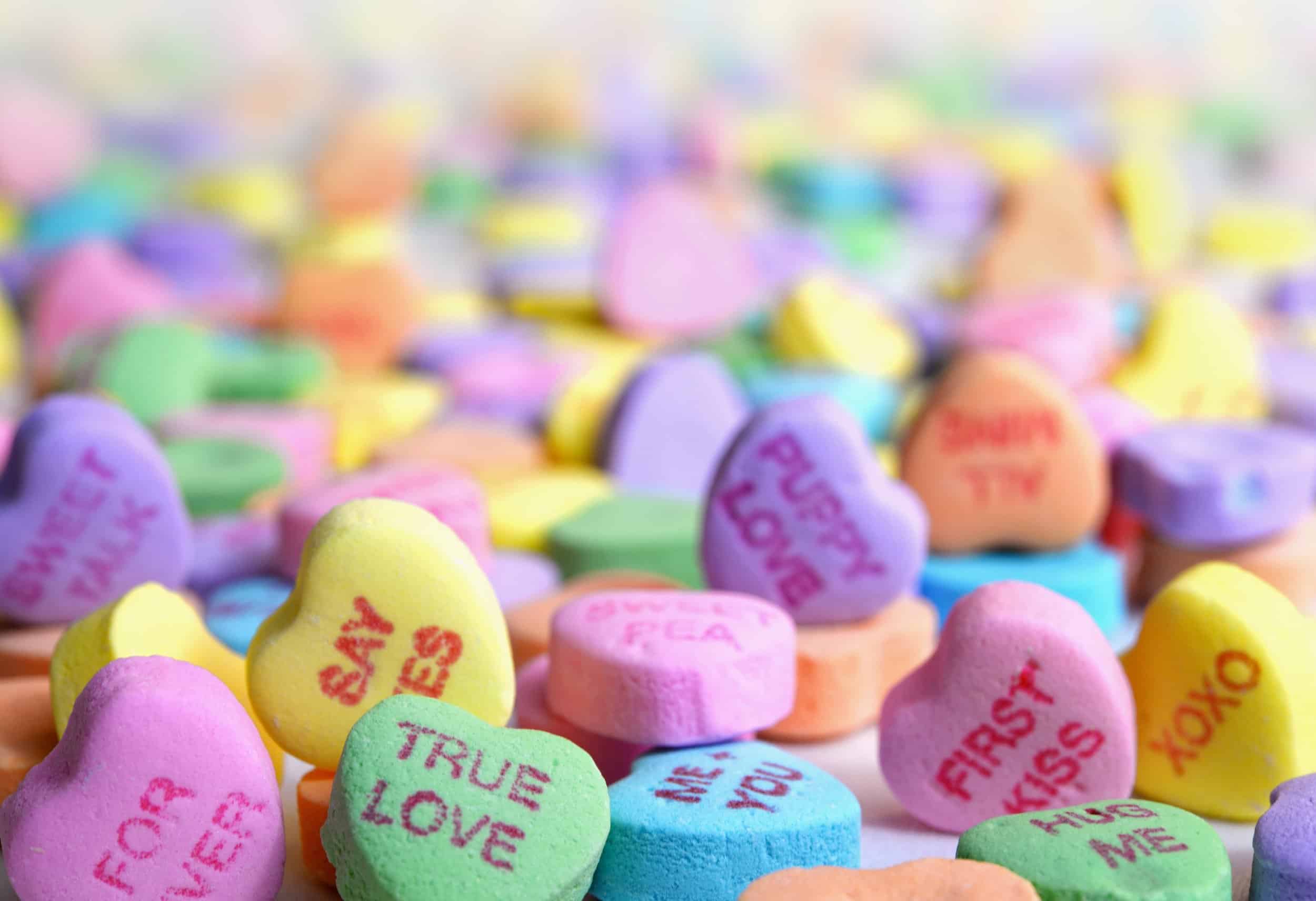 Show the Love to Your Dog or Cat this Valentine's Day