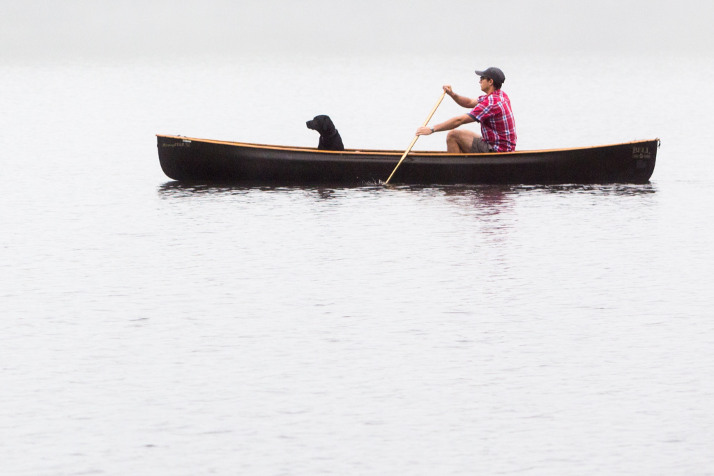 Top 4 Places Near Lake Winnipesaukee to Visit with Your Dog by Boat