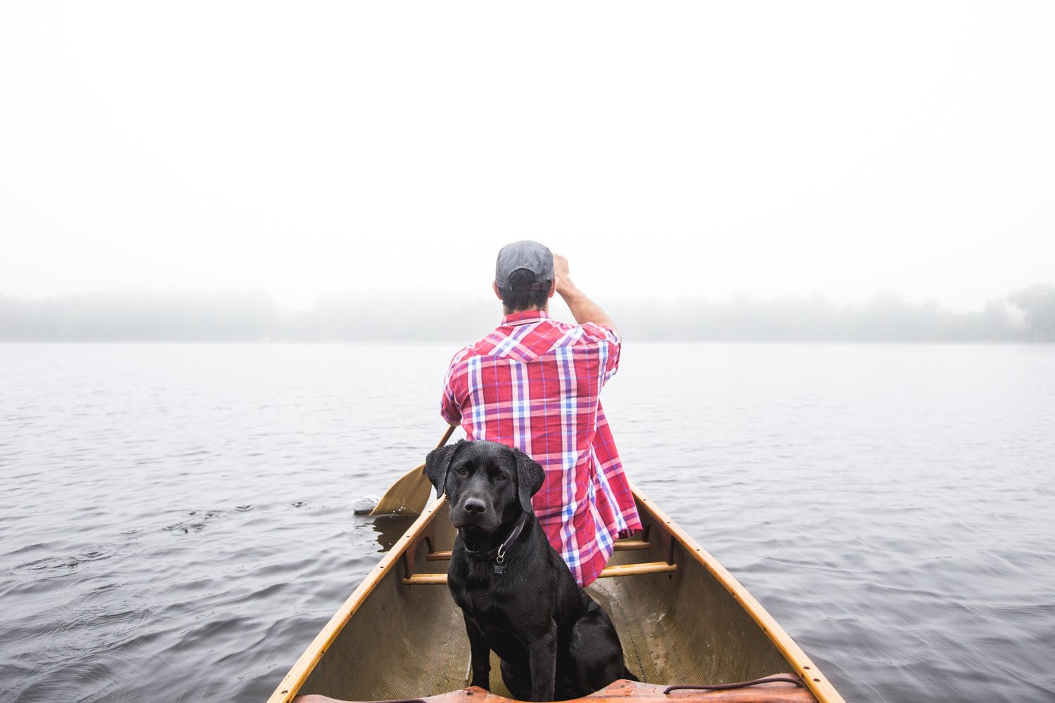 Top Tips for Boating With Your Dog This Season