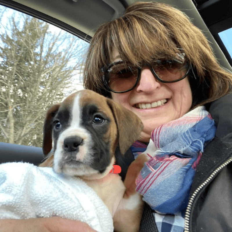 Dyan Homeward Bound Dog Walker